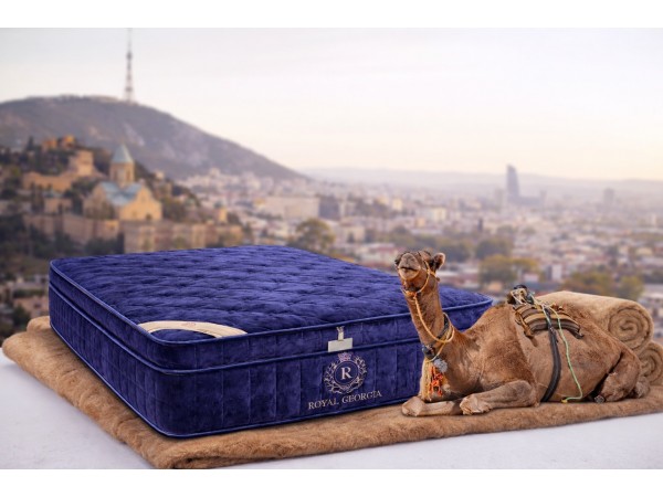 ვიპ ორთოპედიული მატრასი Natural აქლემის ბეწვზე მკვრივი Pillow-Top მატრასი ვიპ ორთოპედიული მატრასი Natural აქლემის ბეწვზე მკვრივი Pillow-Top მატრასი